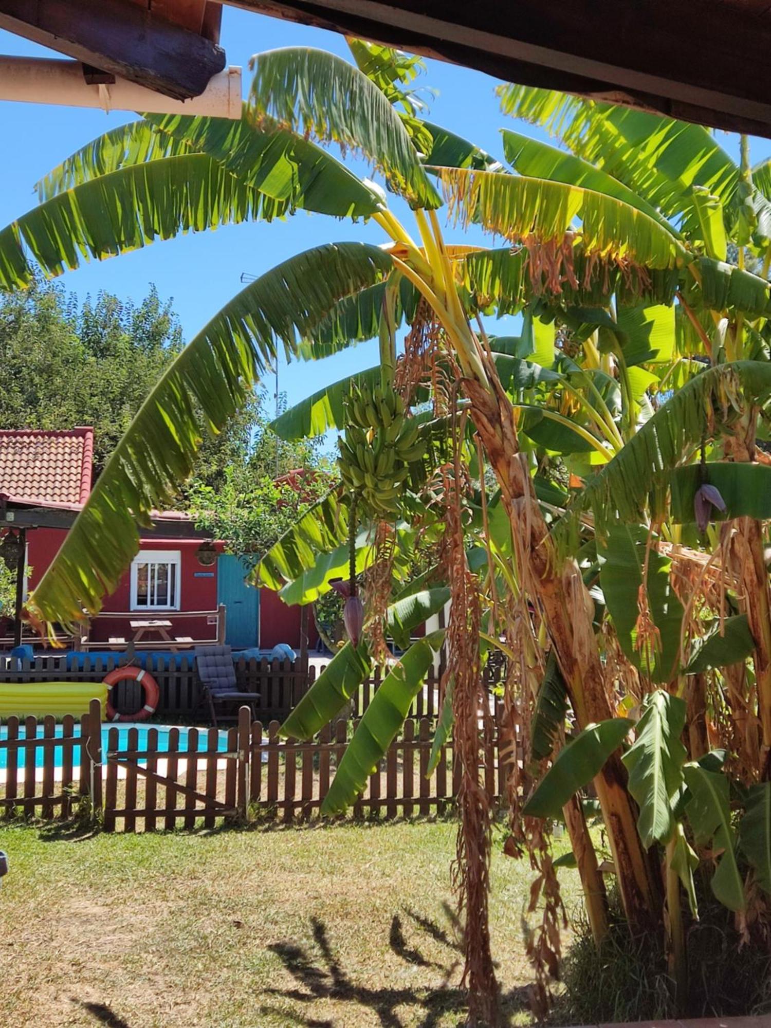 Casa rural Karma House *